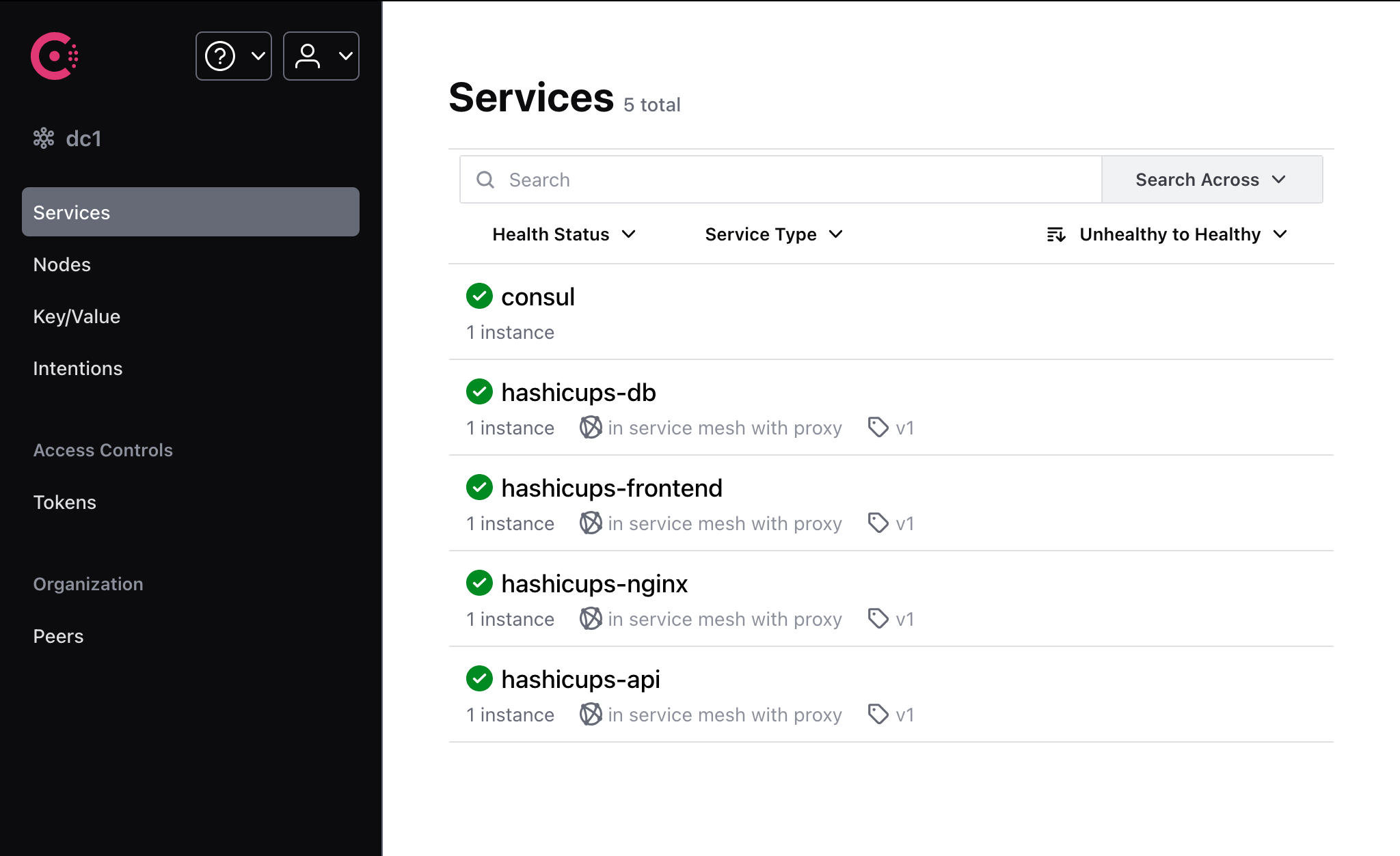 Services page with HashiCups in service mesh