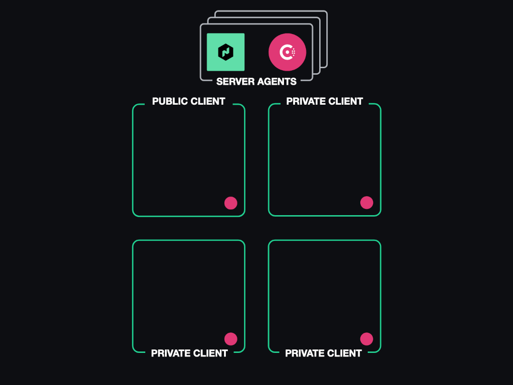 Architectural diagram. Consul and Nomad cluster with one public client and three private clients.
