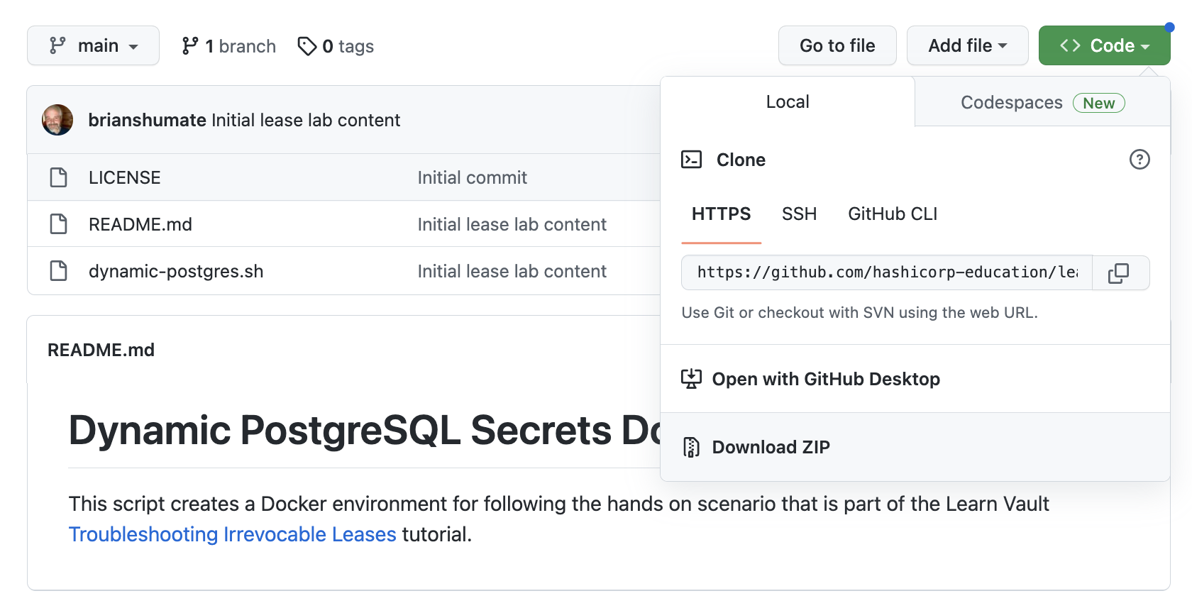 Troubleshoot Irrevocable Leases Vault HashiCorp Developer