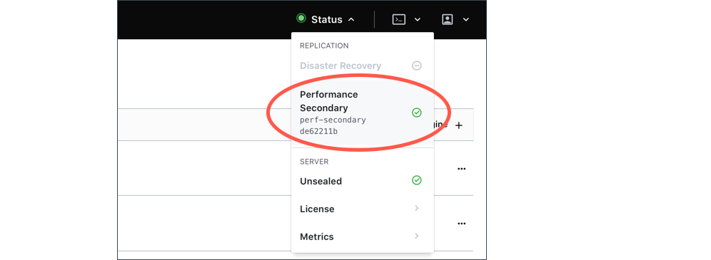 Replication Status