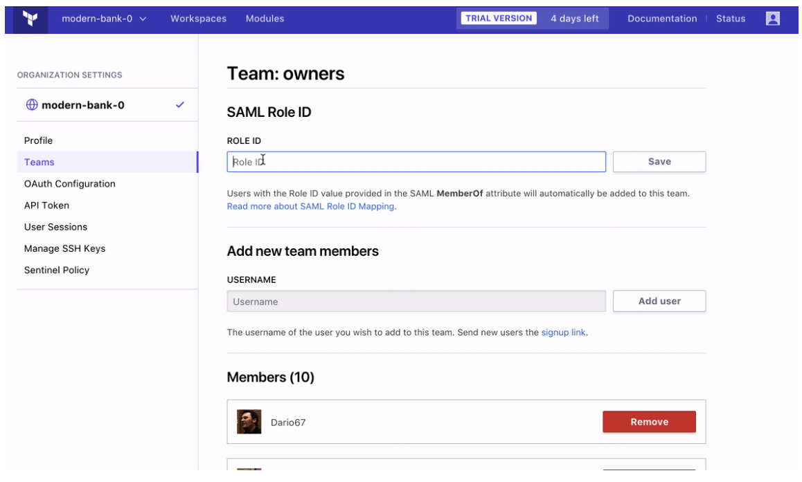 Screenshot: The role ID field on the owners team page