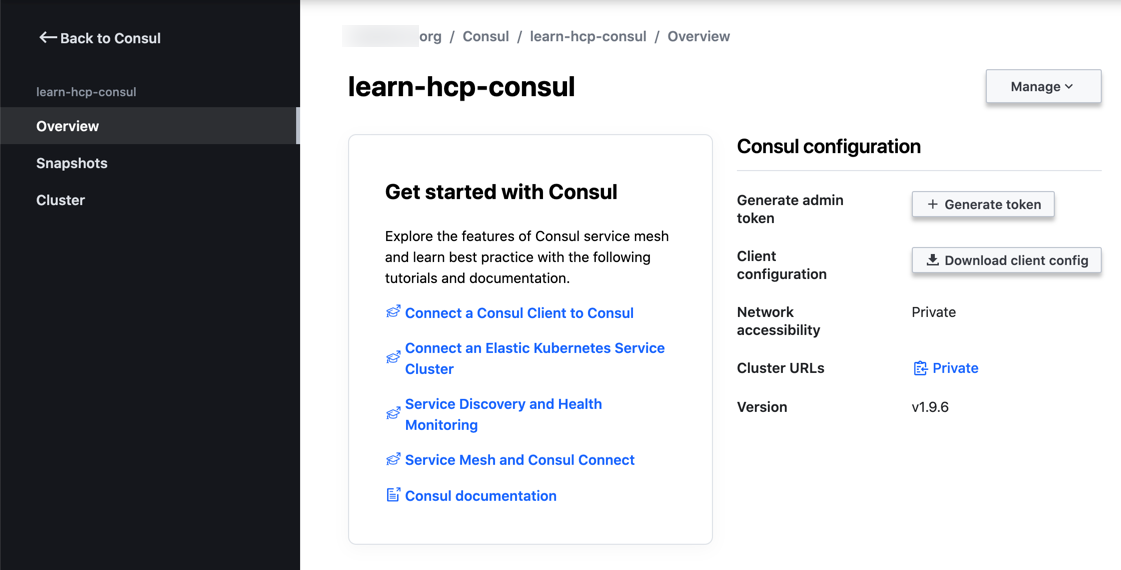 HCP Consul Overview Page