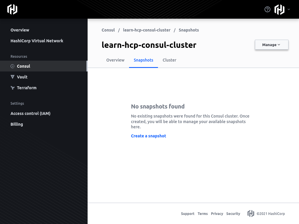 HCP Consul Snapshots Page