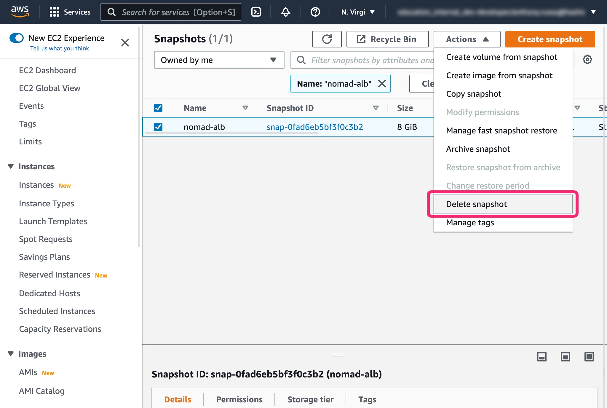 Deleting the Snapshots in AWS