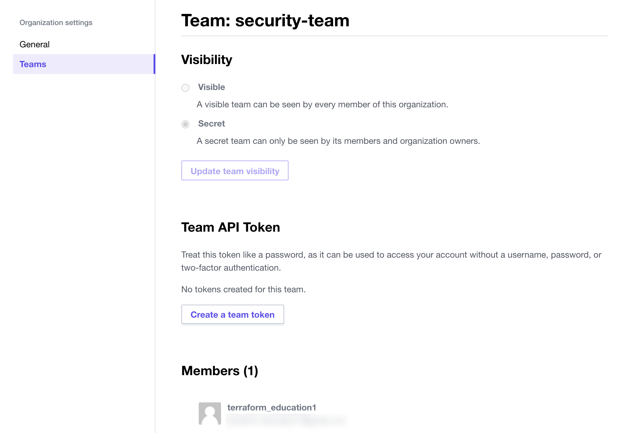 View security-team settings and members